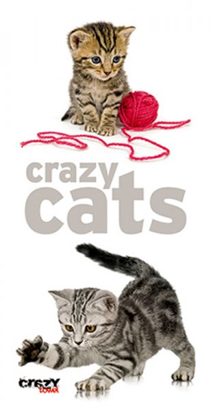928 Toalla Crazy Cats
